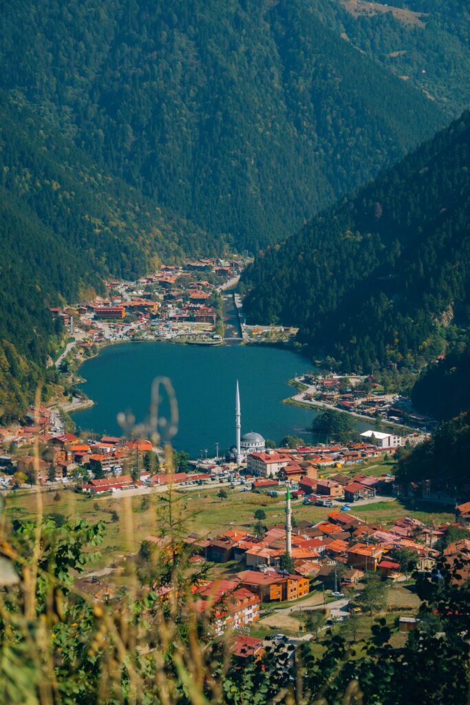 pexels-ozgurbesli-18754594-1